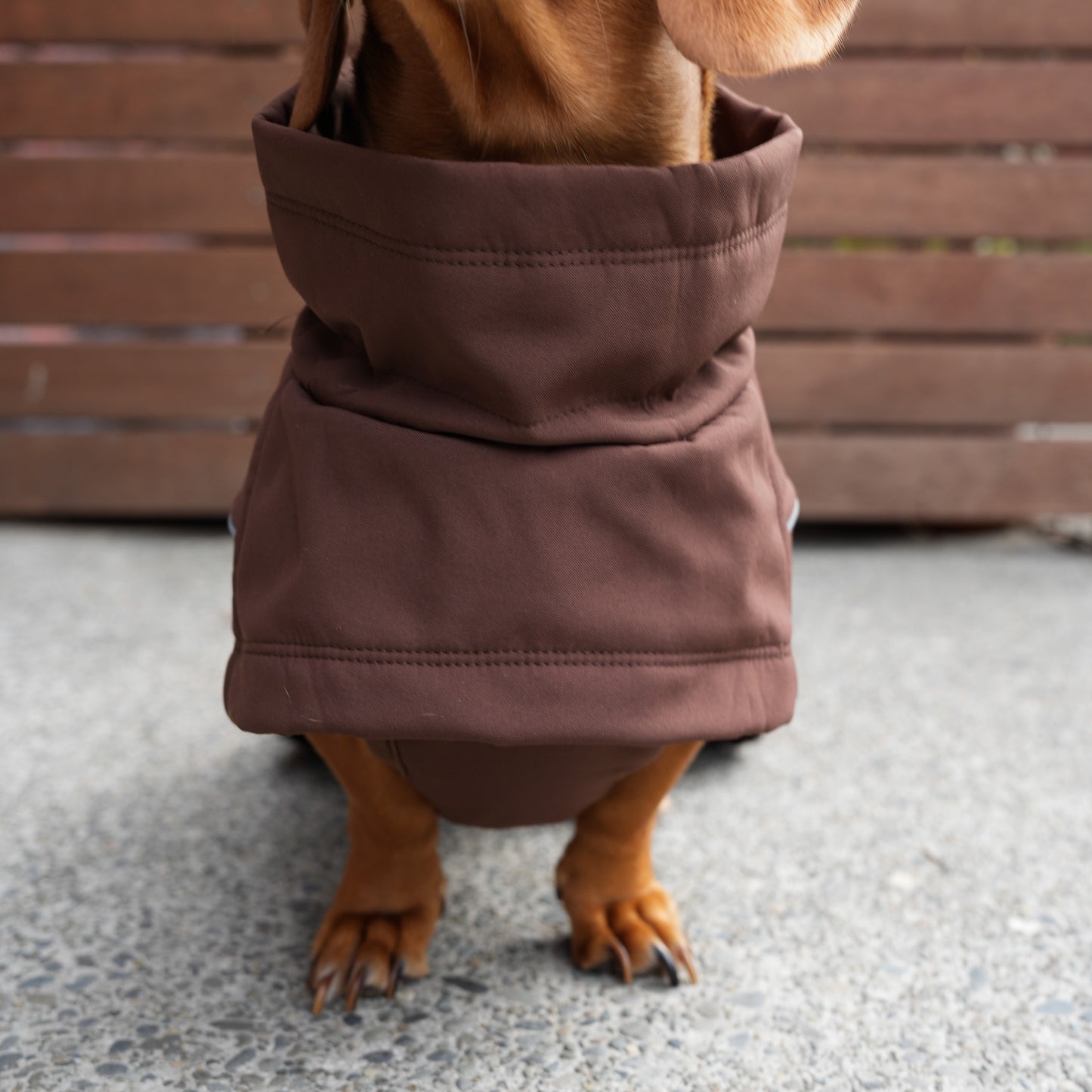 Waterproof Jacket - Maroon