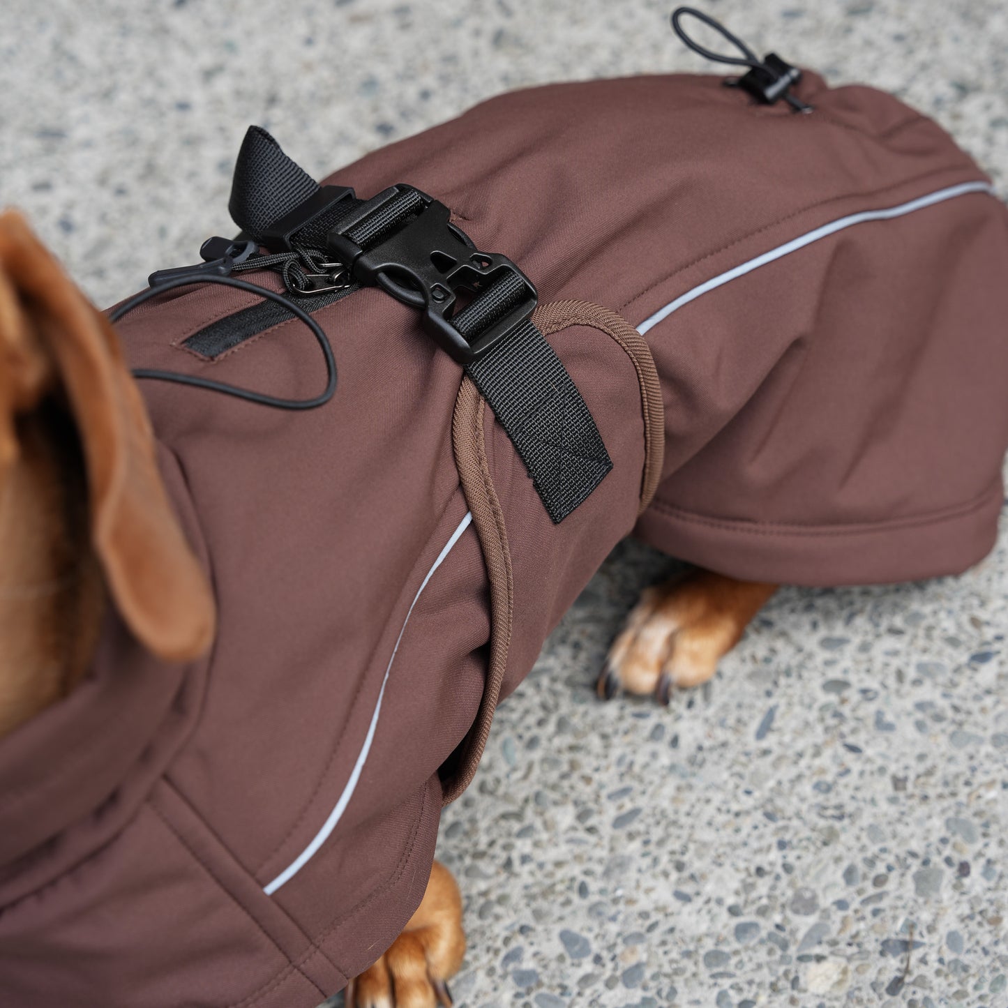 Waterproof Jacket - Maroon