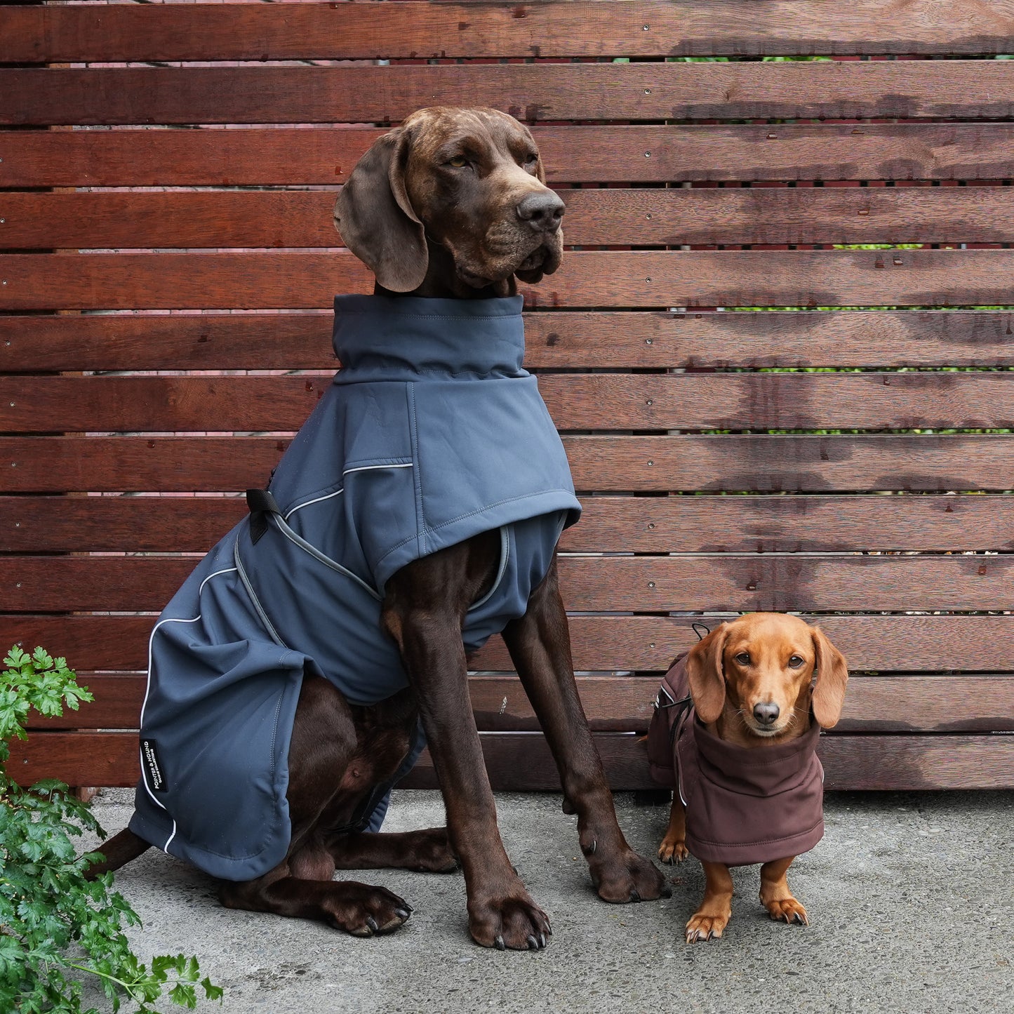 Waterproof Jacket - Slate Blue