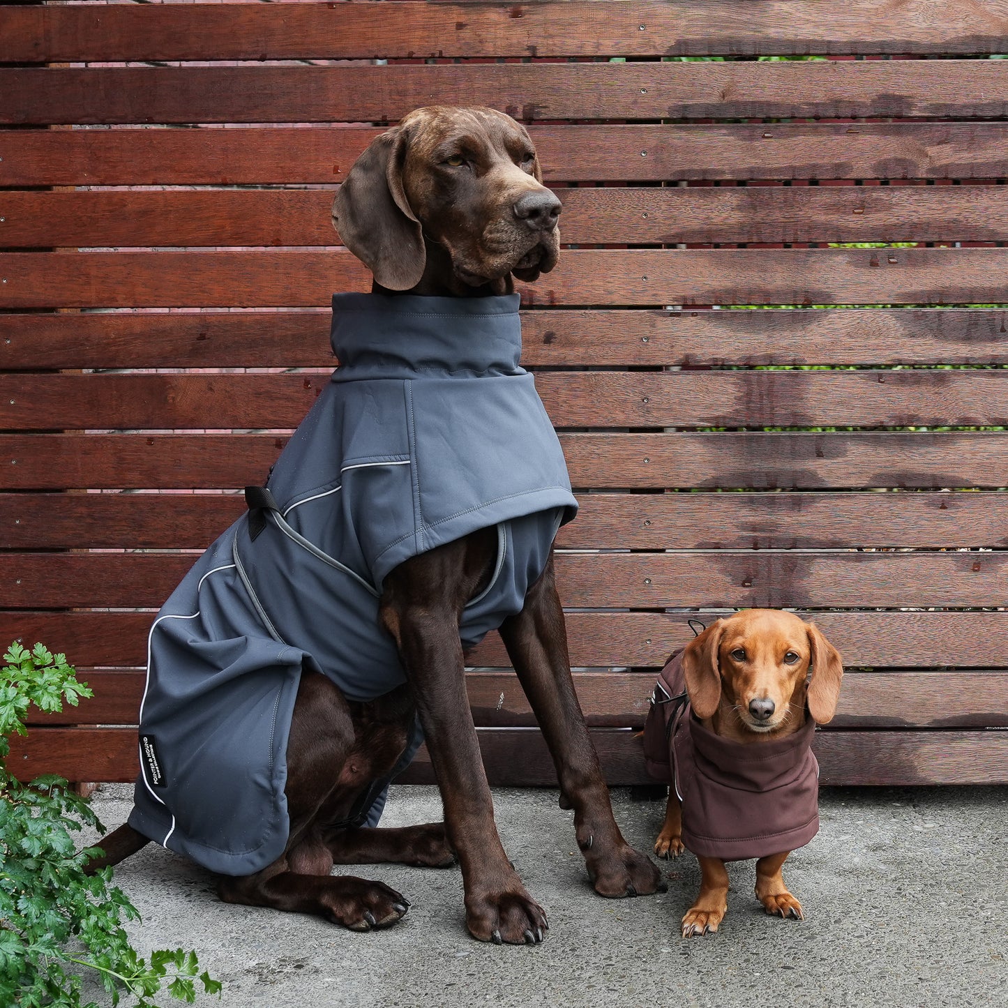 Waterproof Jacket - Slate Blue