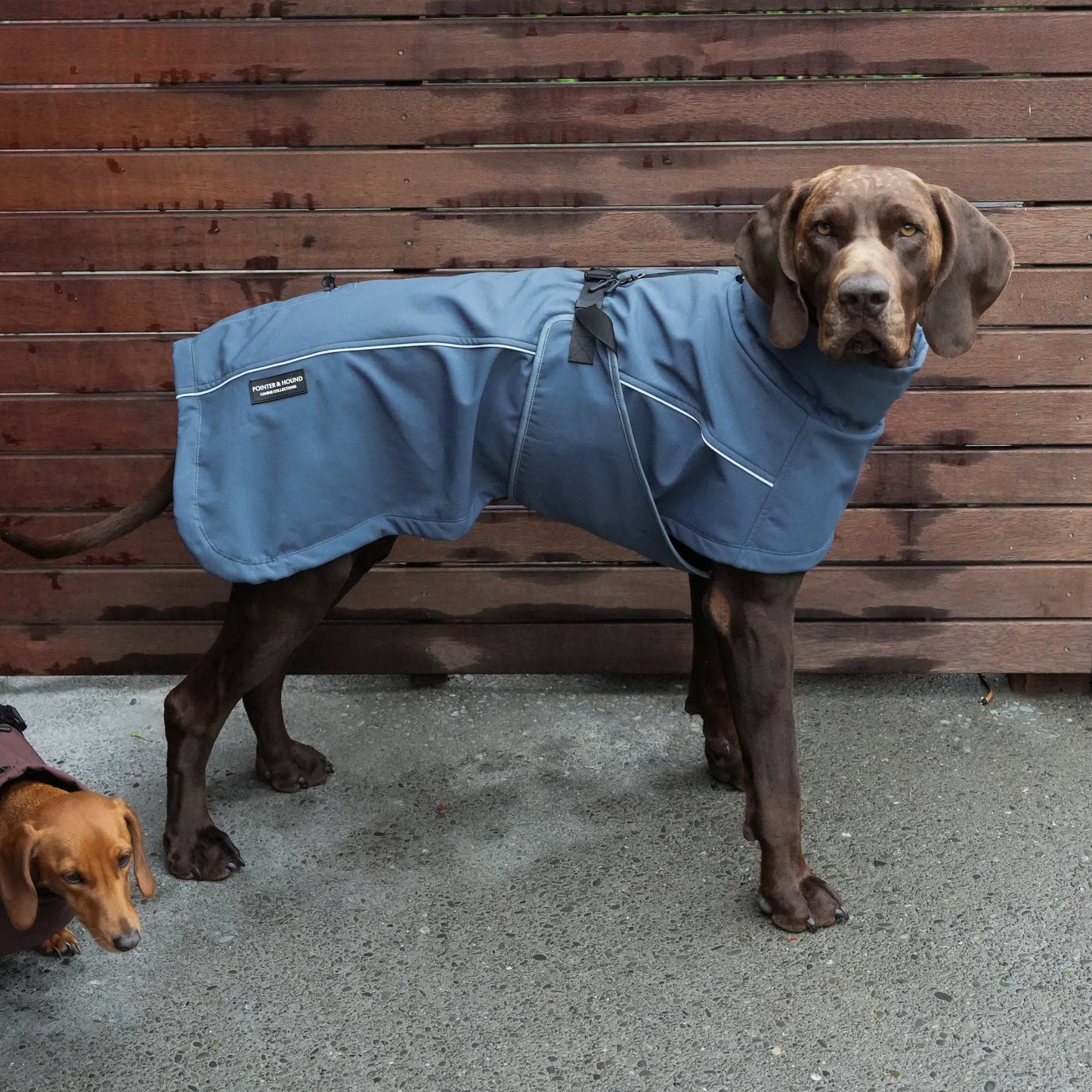 Waterproof Jacket - Slate Blue