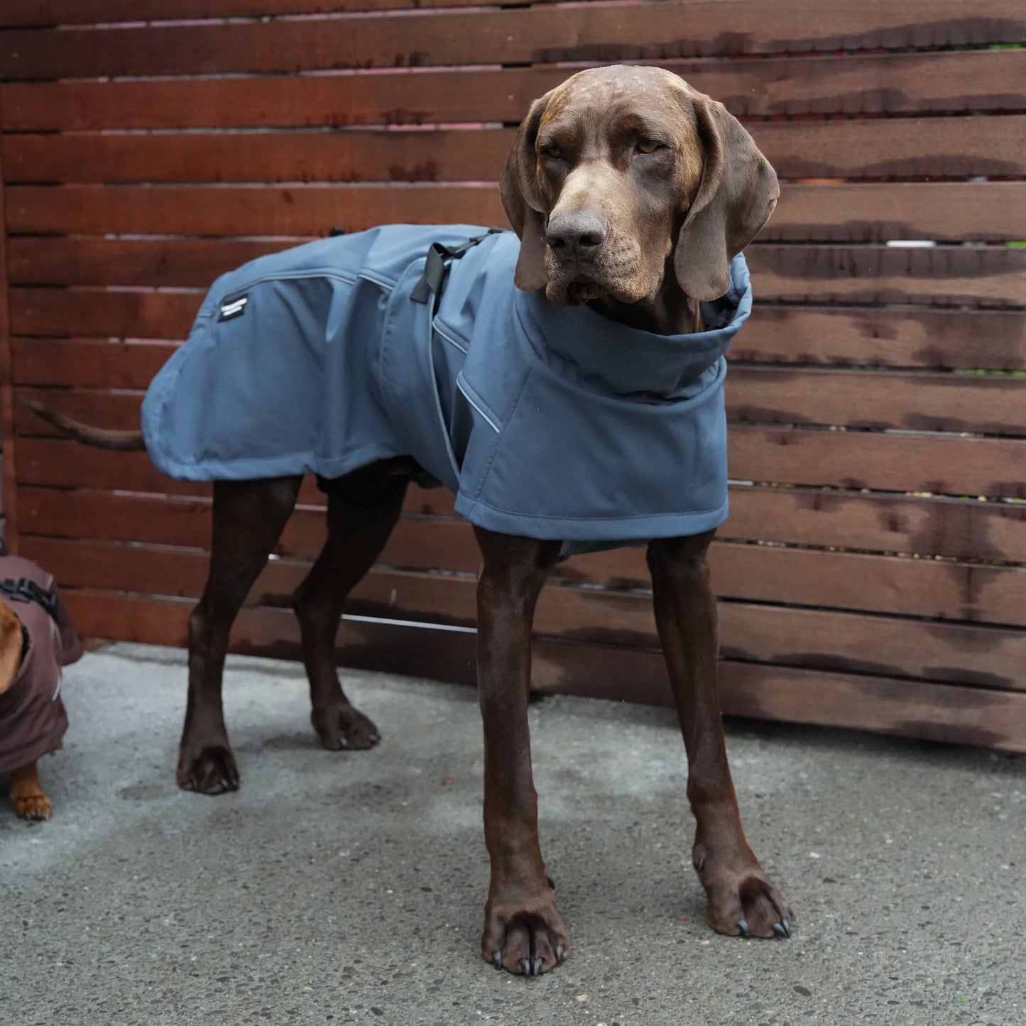 Waterproof Jacket - Slate Blue