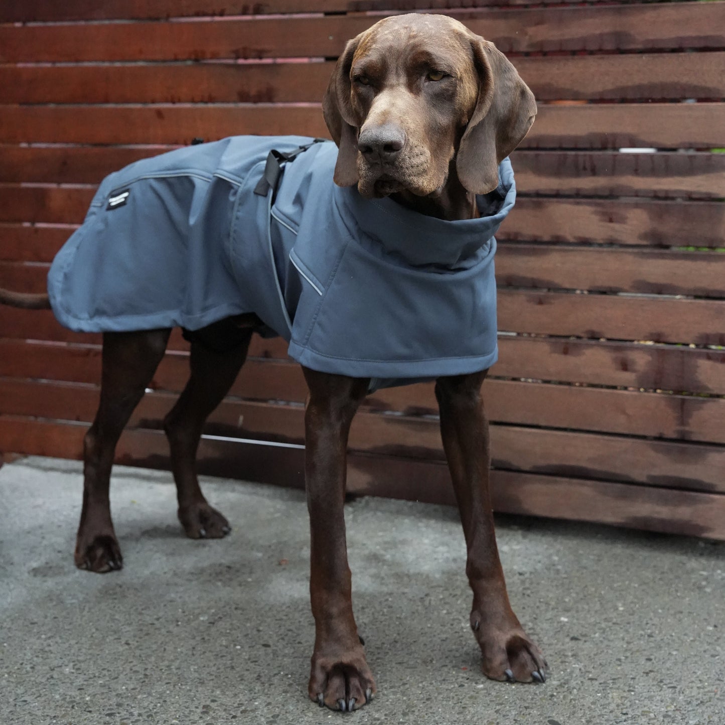 Waterproof Jacket - Slate Blue