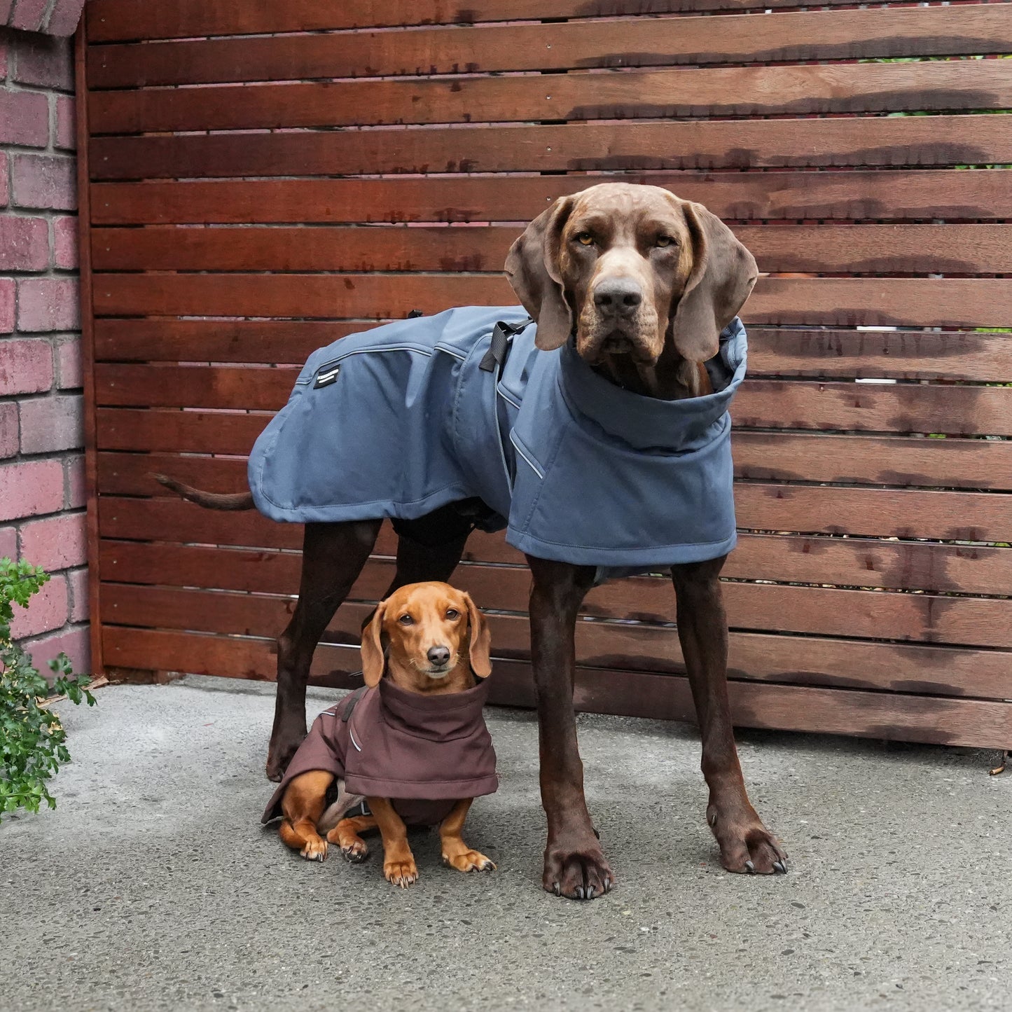 Waterproof Jacket - Slate Blue