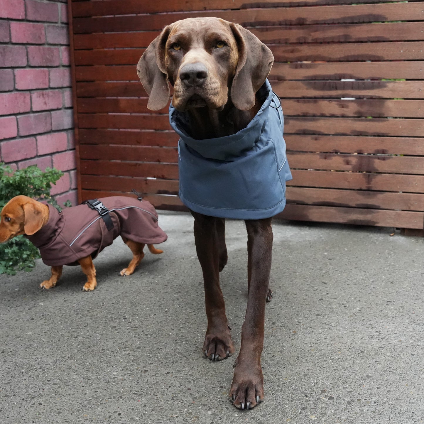 Waterproof Jacket - Slate Blue