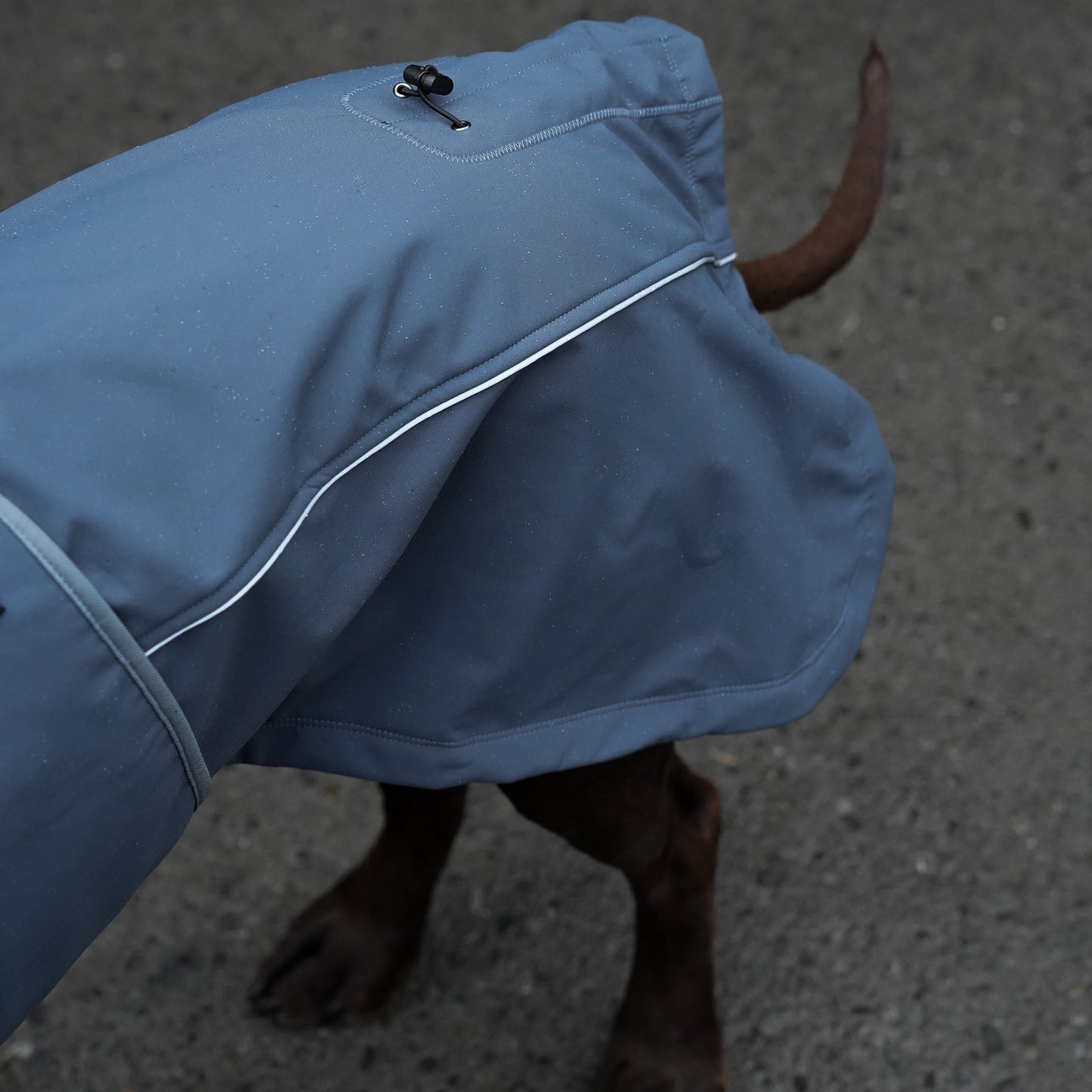Waterproof Jacket - Slate Blue