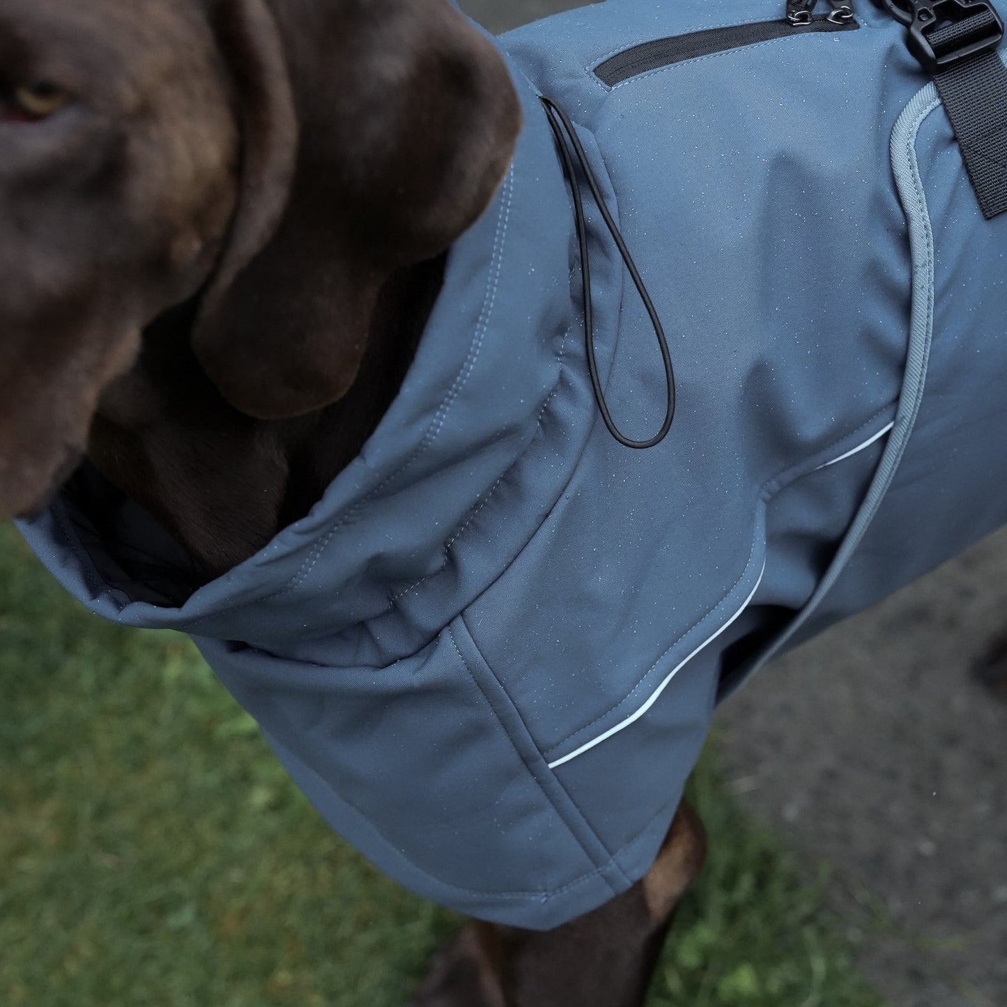 Waterproof Jacket - Slate Blue