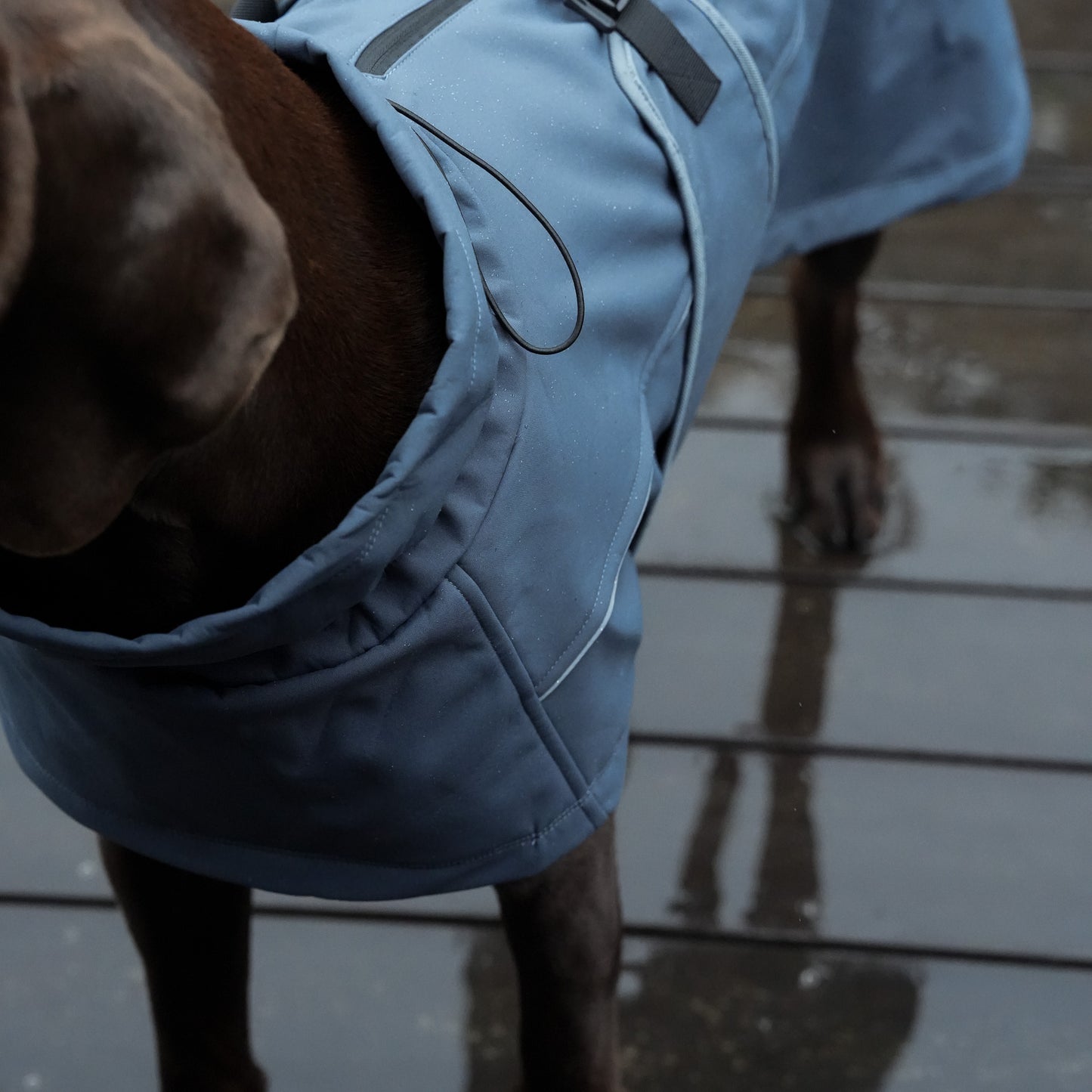 Waterproof Jacket - Slate Blue