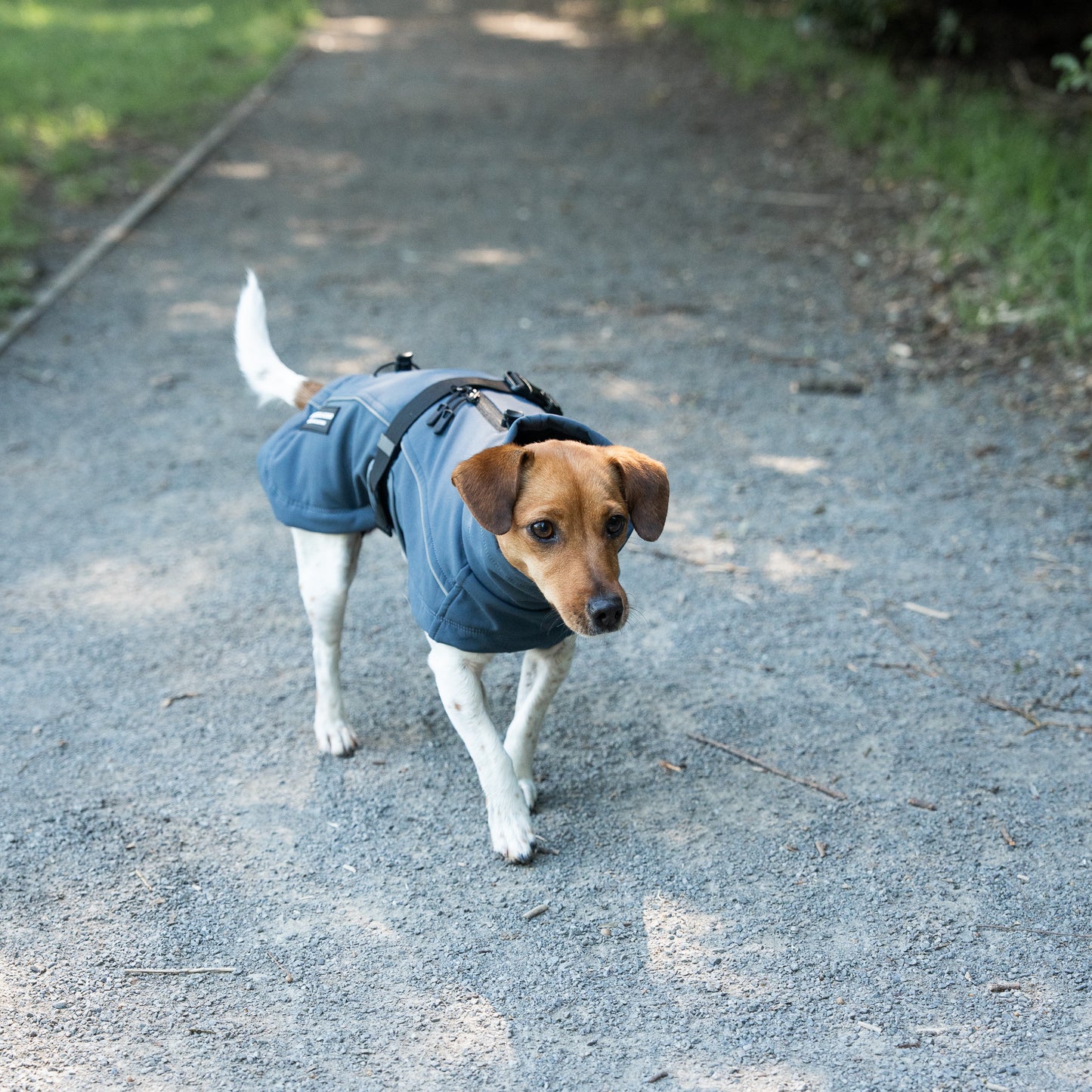 Waterproof Jacket - Slate Blue