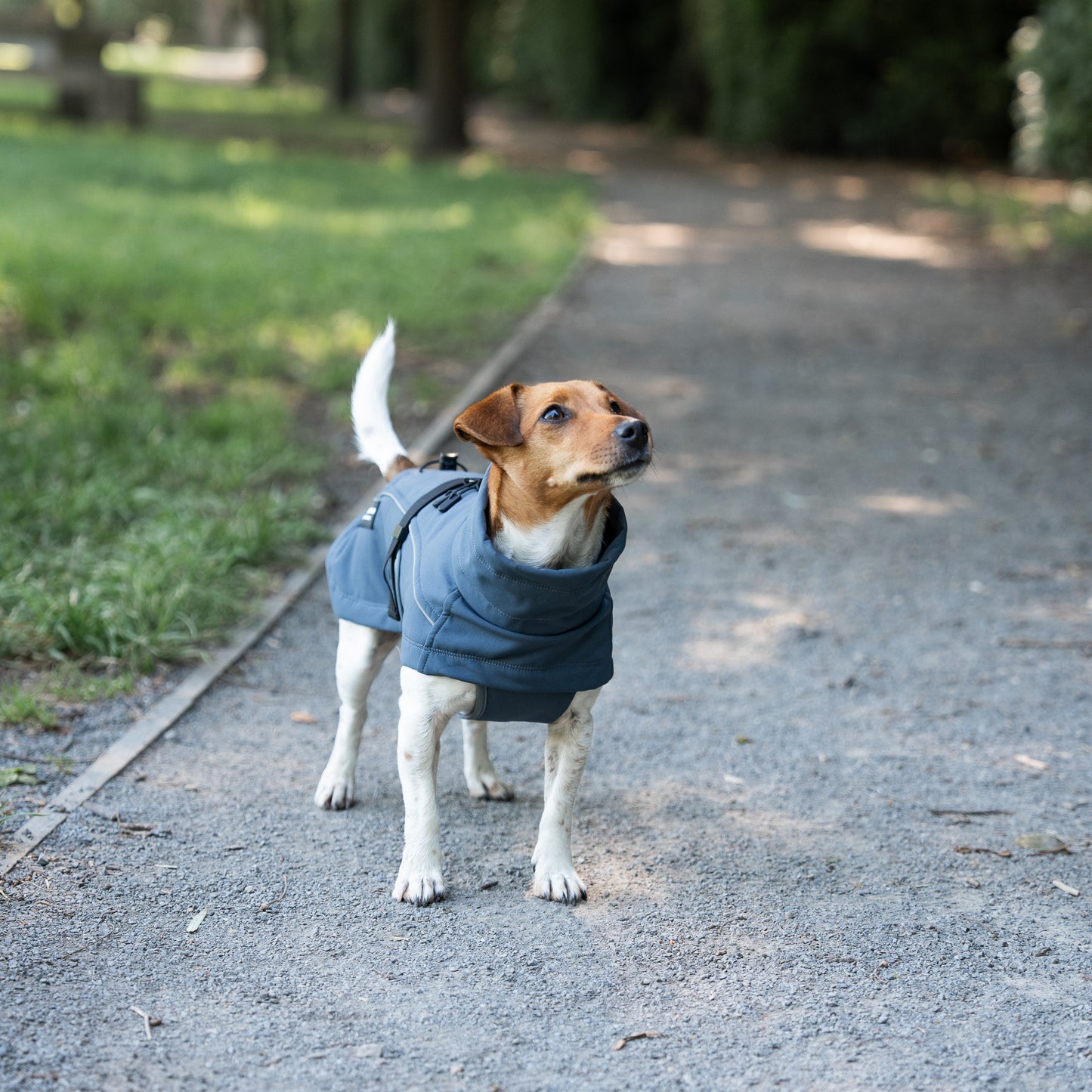 Waterproof Jacket - Slate Blue