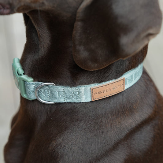 Signature Collar - Eucalyptus