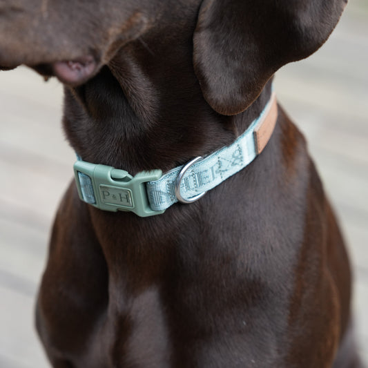 Eucalyptus Collar