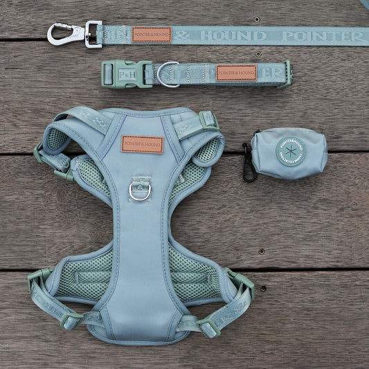 Signature Walk Set - Eucalyptus