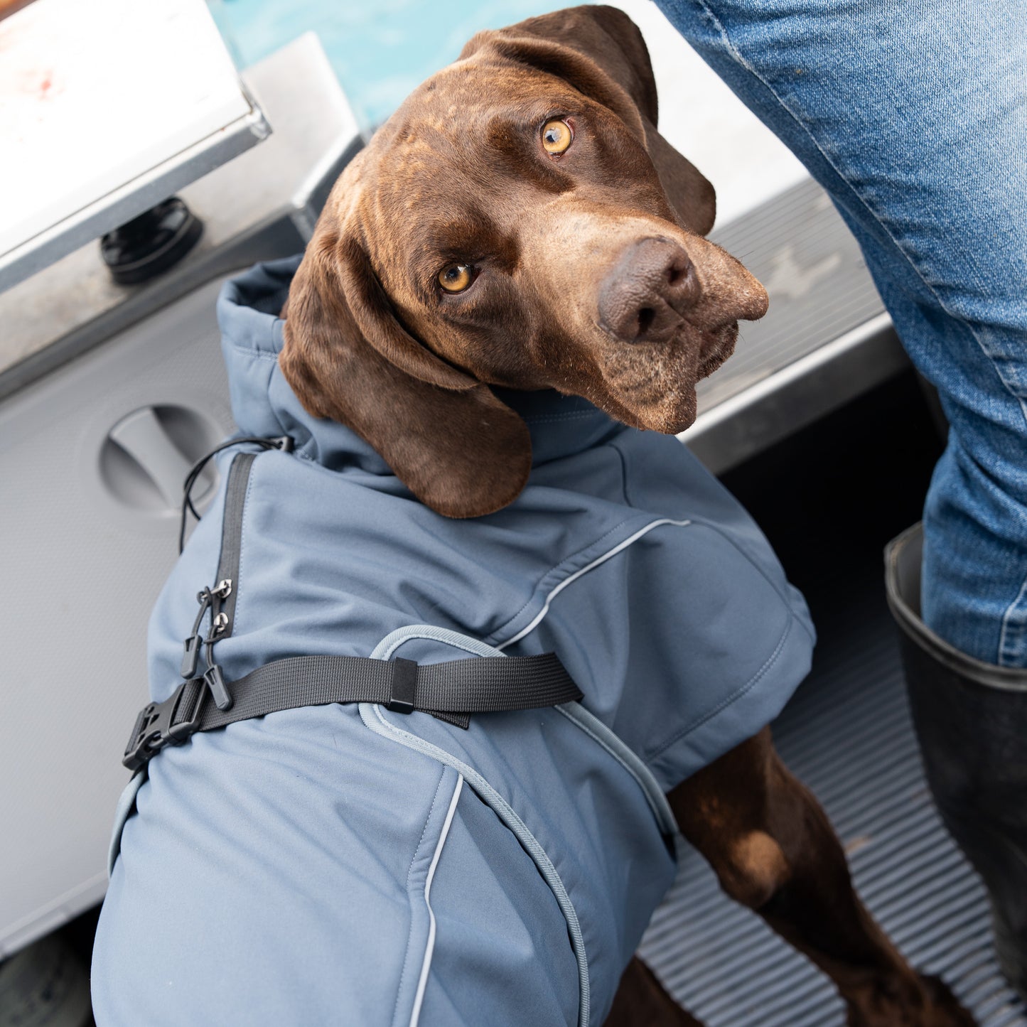 Waterproof Jacket - Slate Blue