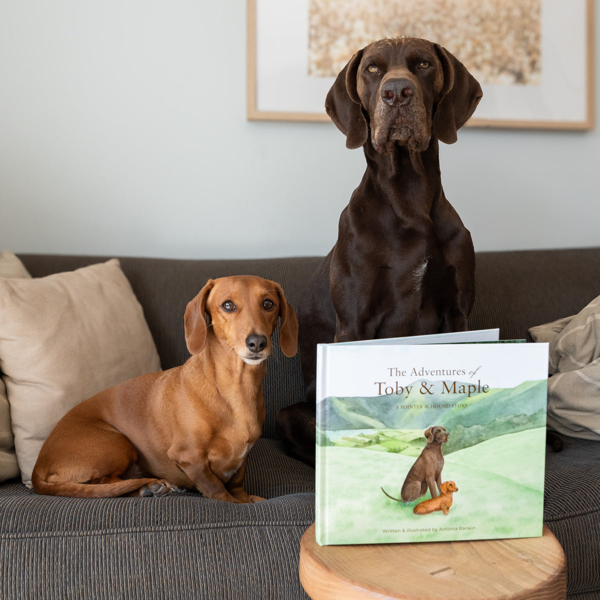 The Adventures of Toby & Maple: A Pointer & Hound Story