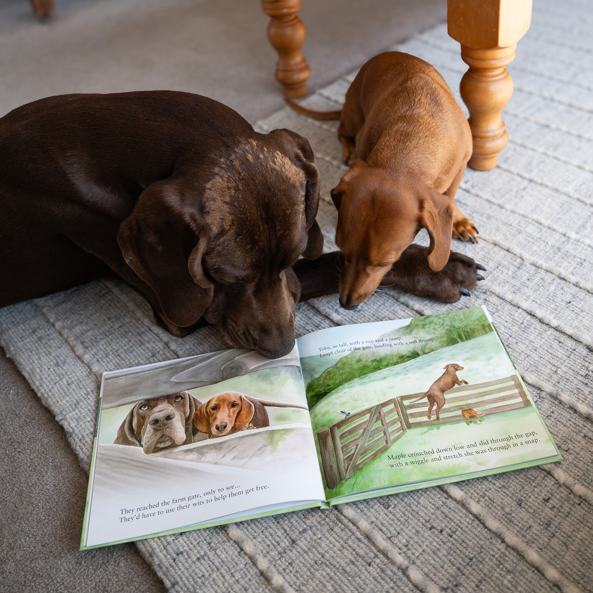 The Adventures of Toby & Maple: A Pointer & Hound Story