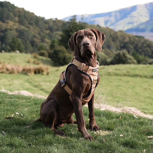 Tactical Harness - Tan
