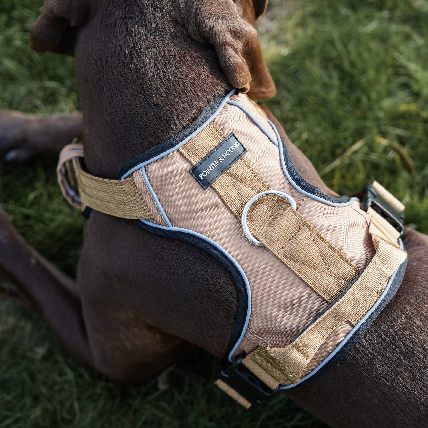 Tactical Harness 2.0 - Tan