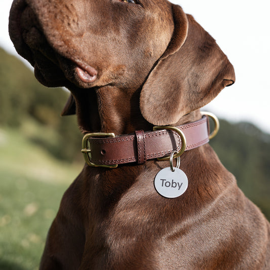 Luxe Leather Collar - Rich Brown