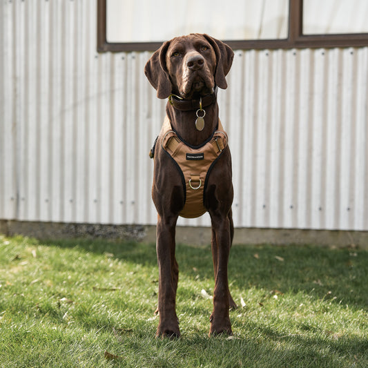 Tactical Harness - Tan