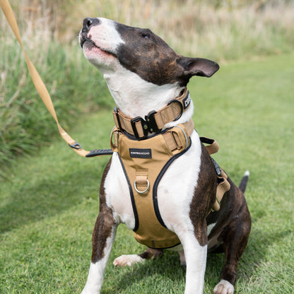Double Tactical Harness & Leash