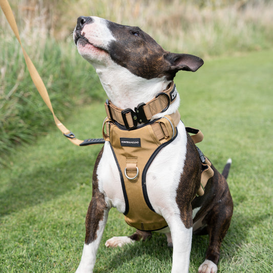 Tactical Harness - Tan