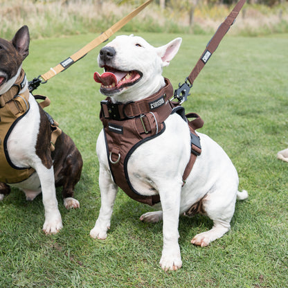 Double Tactical Harness & Leash