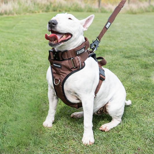 Tactical Harness - Maroon Brown