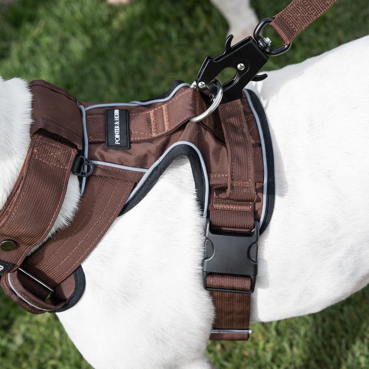 Tactical Harness - Maroon Brown