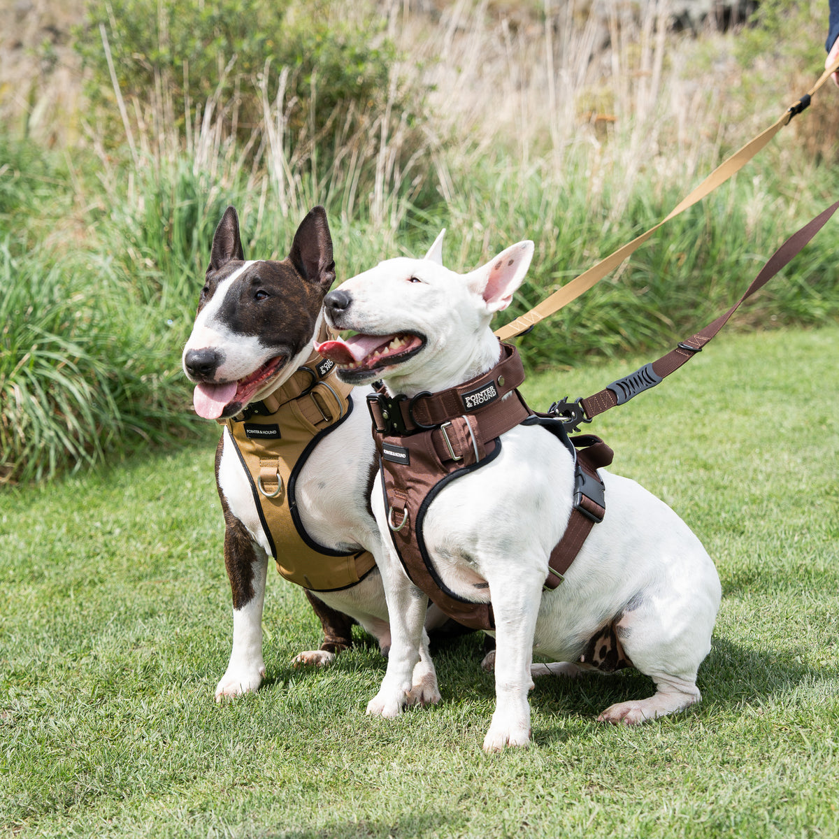 Tactical Harness - Tan