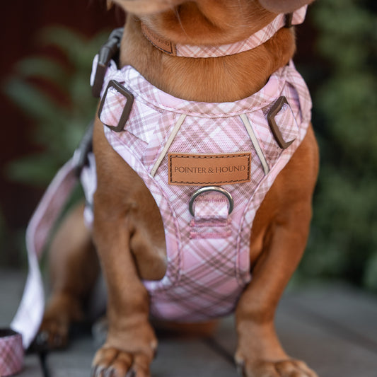 Signature Harness - Pink Tartan