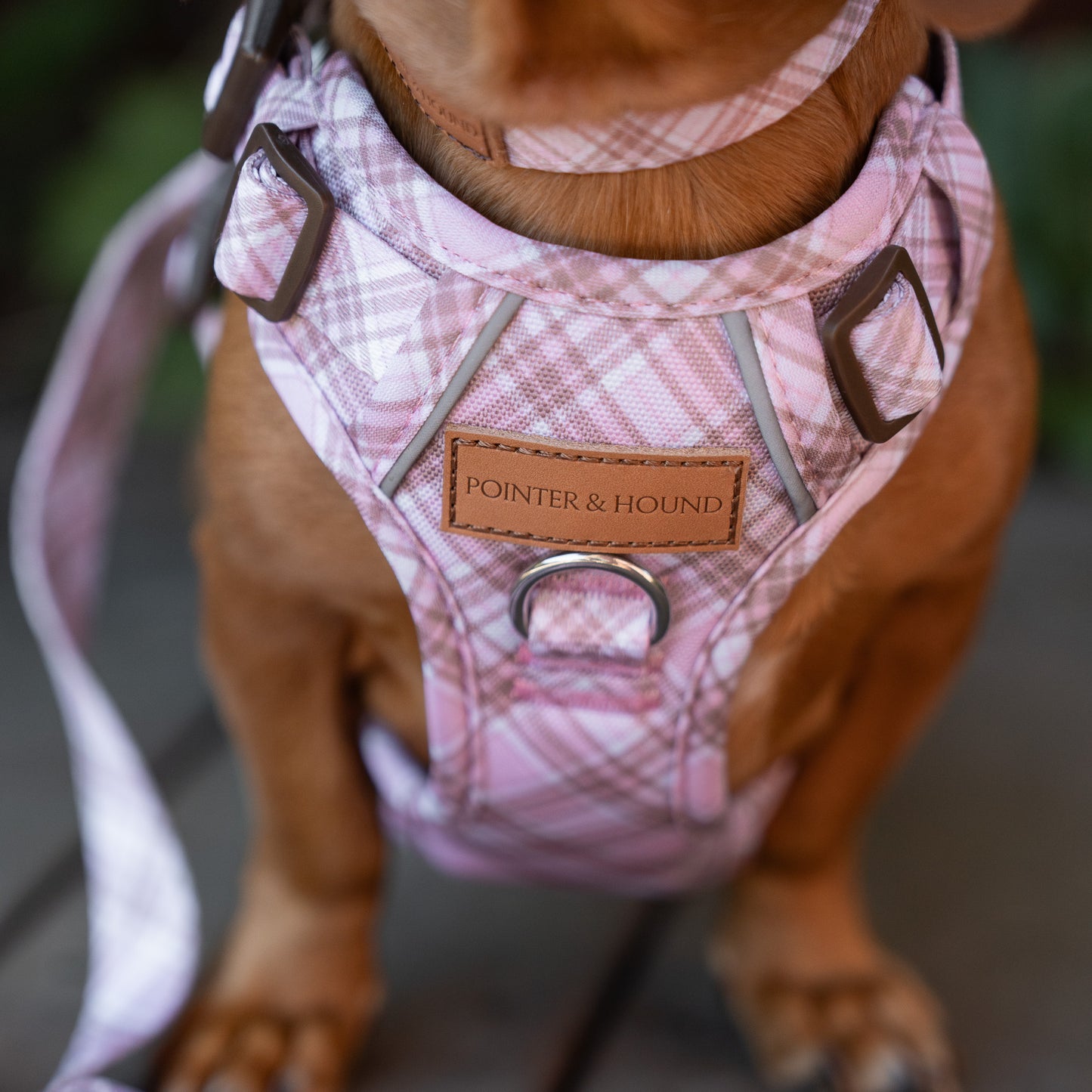 Signature Harness - Pink Tartan