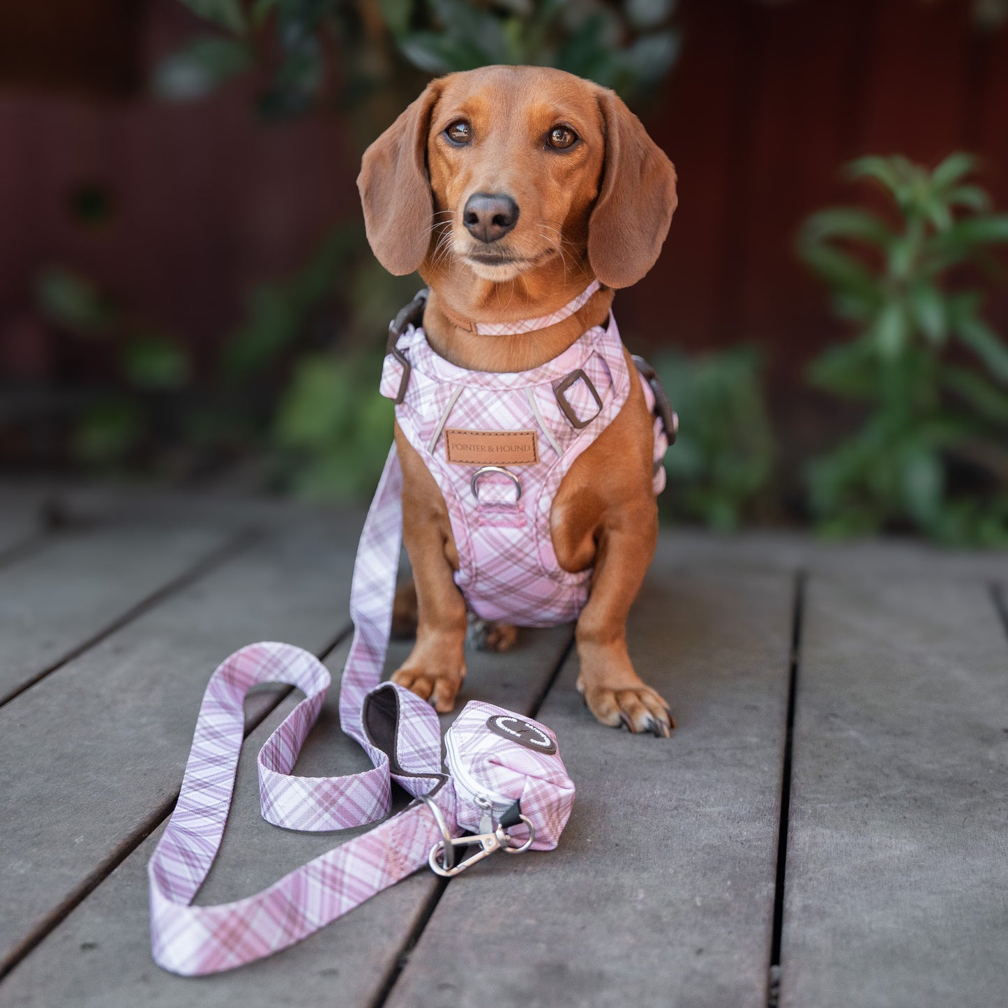Signature Harness - Pink Tartan