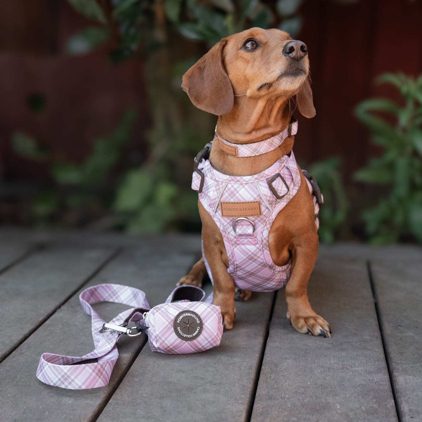 Signature Harness - Pink Tartan