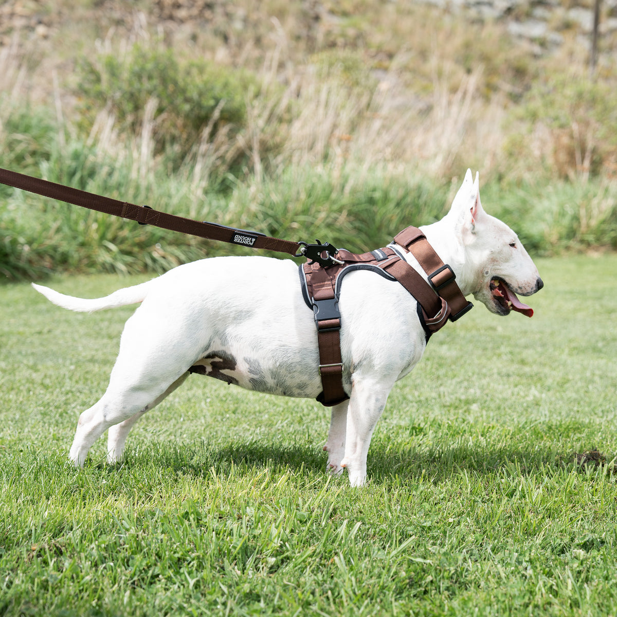 Tactical Harness - Maroon Brown