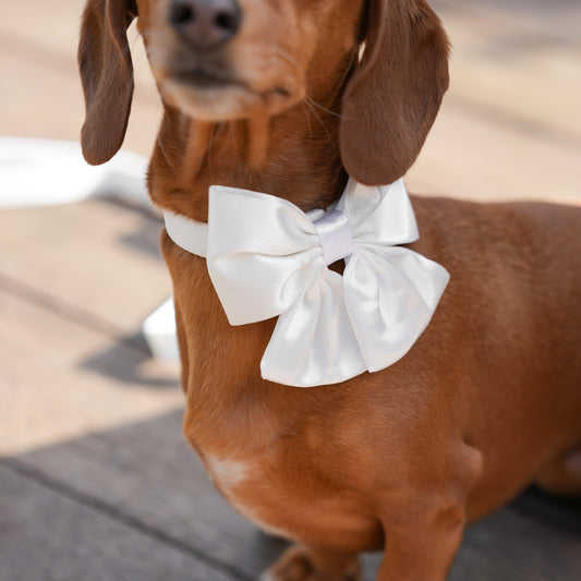 Wedding Set - White Bow