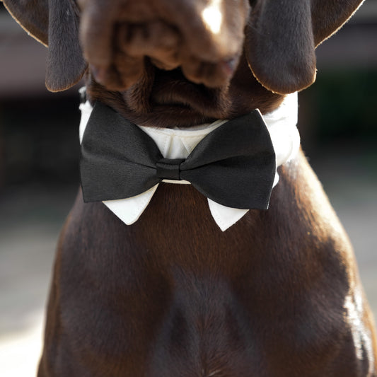 Wedding Set - Black Bow Tie
