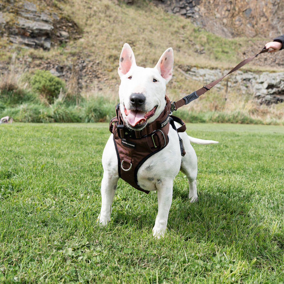 Tactical Harness - Maroon Brown