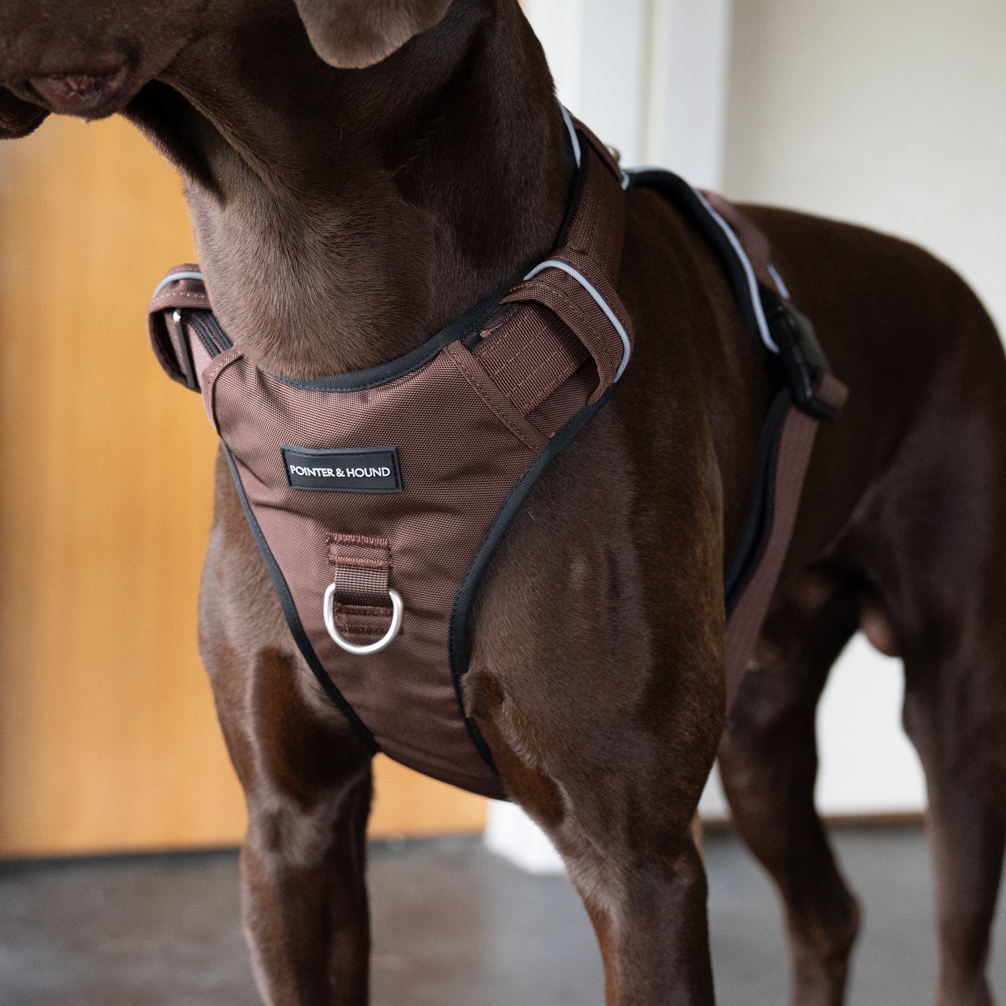 Tactical Harness - Maroon Brown