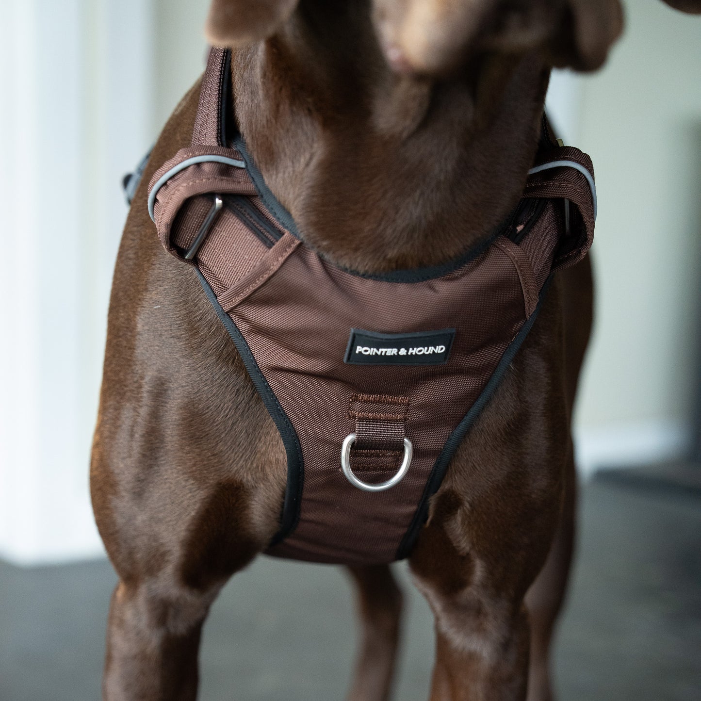 Tactical Harness - Maroon Brown