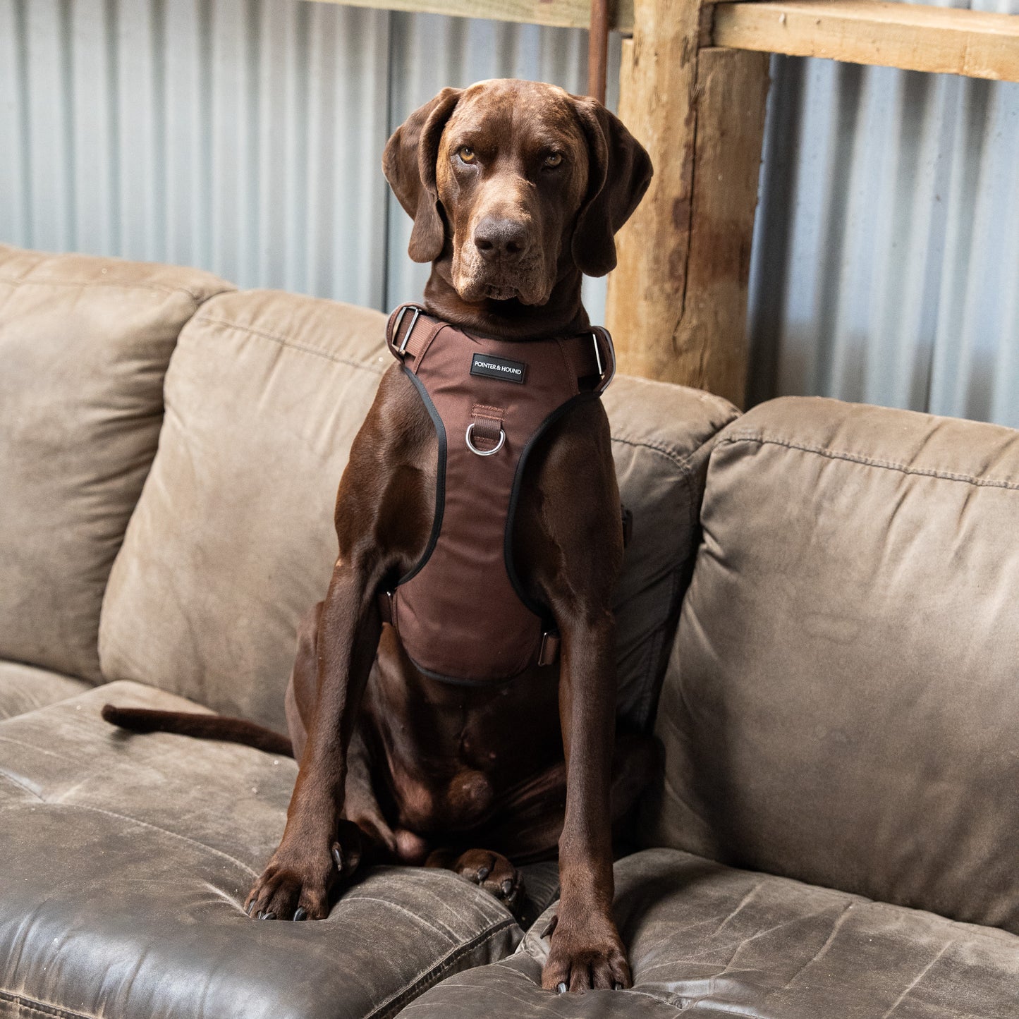 Tactical Harness - Maroon Brown