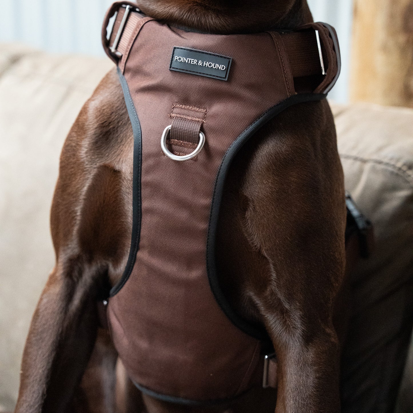 Tactical Harness - Maroon Brown
