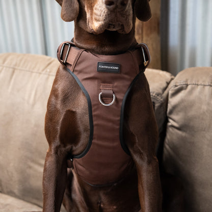 Tactical Walk Set