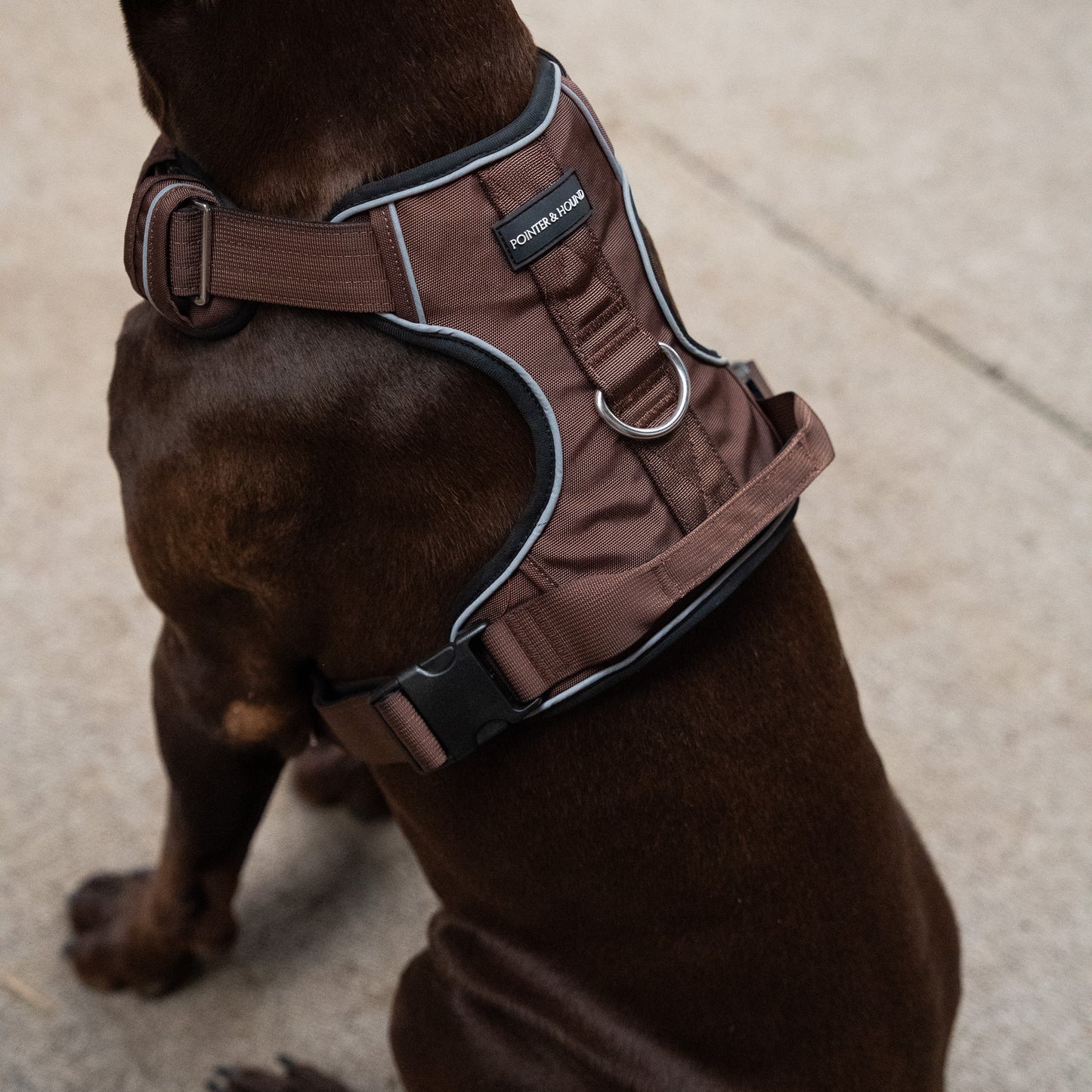 Tactical Harness - Maroon Brown