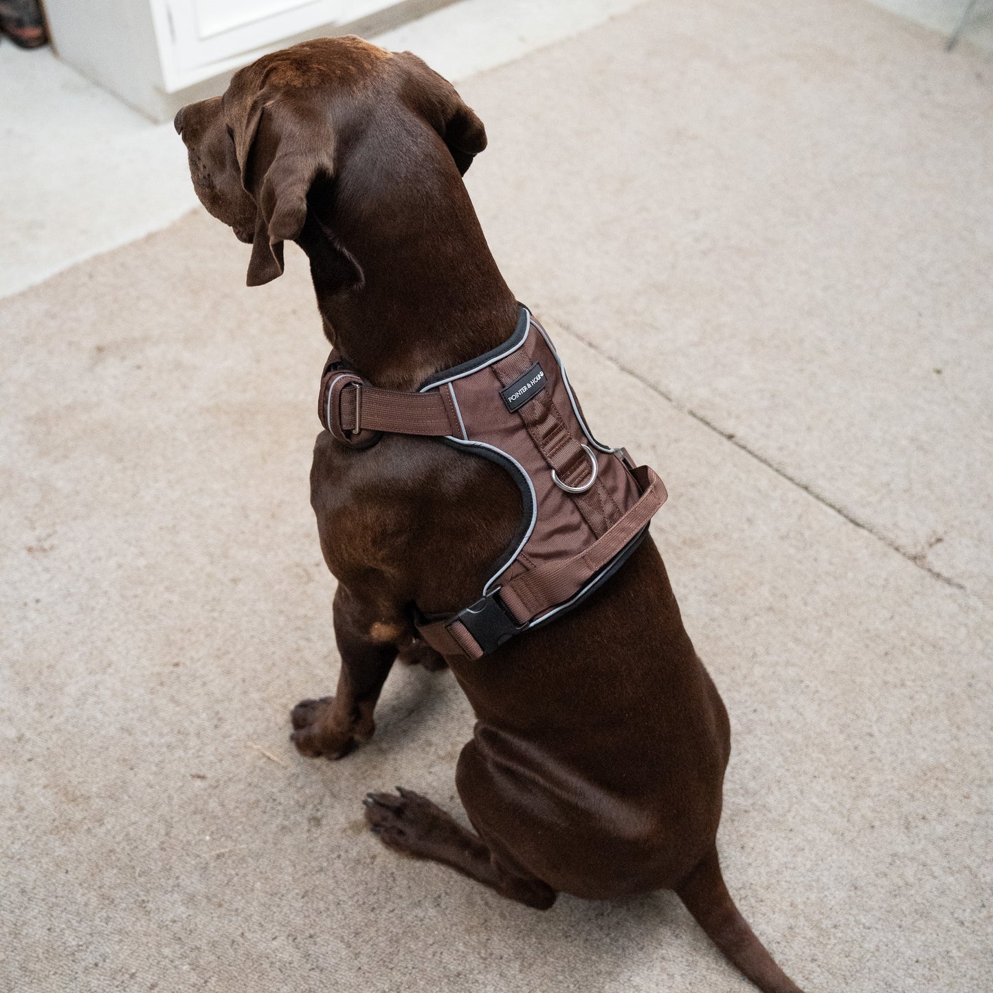 Tactical Harness - Maroon Brown