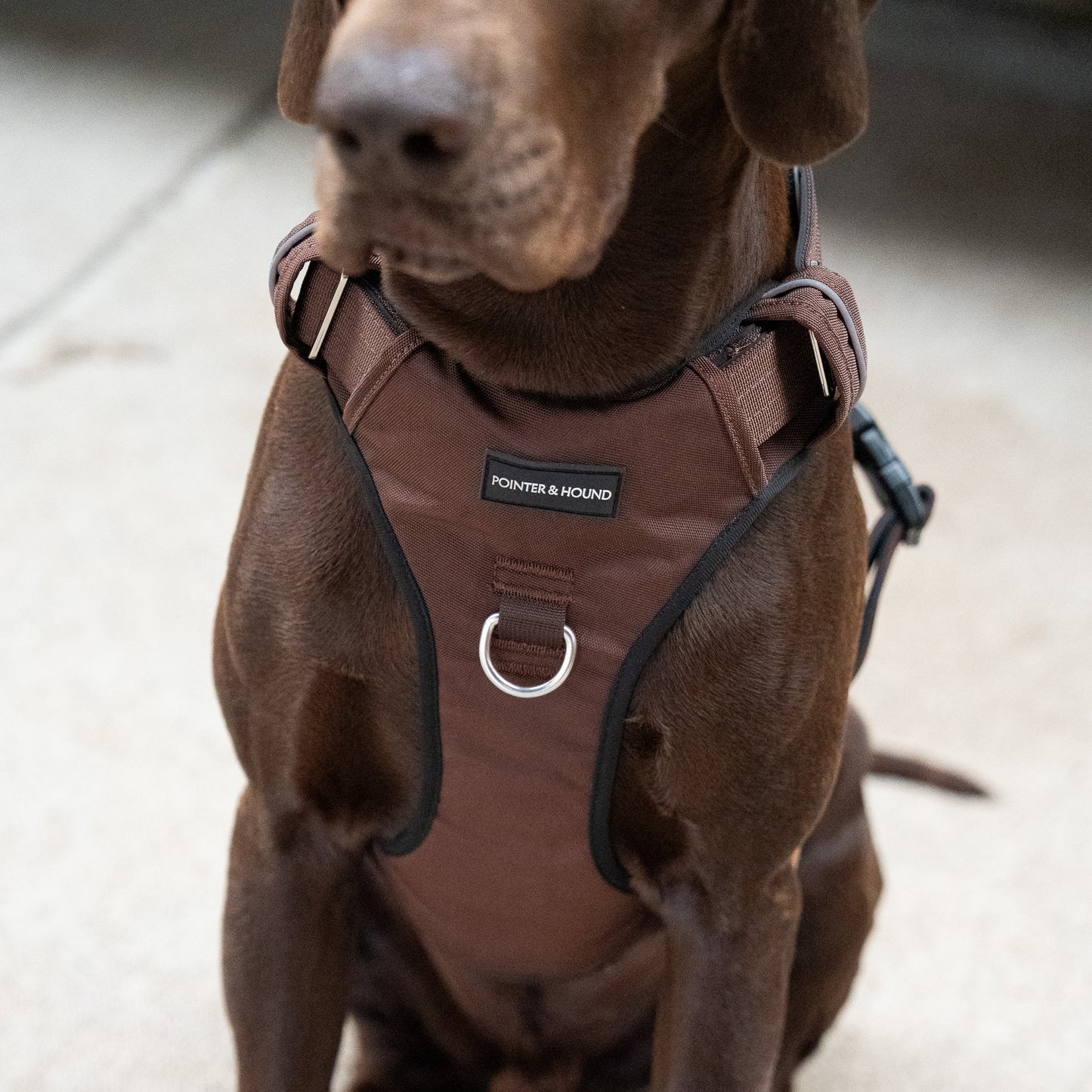 Tactical Harness - Maroon Brown