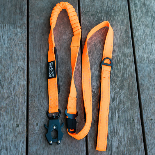 Tactical Leash - Blaze Orange