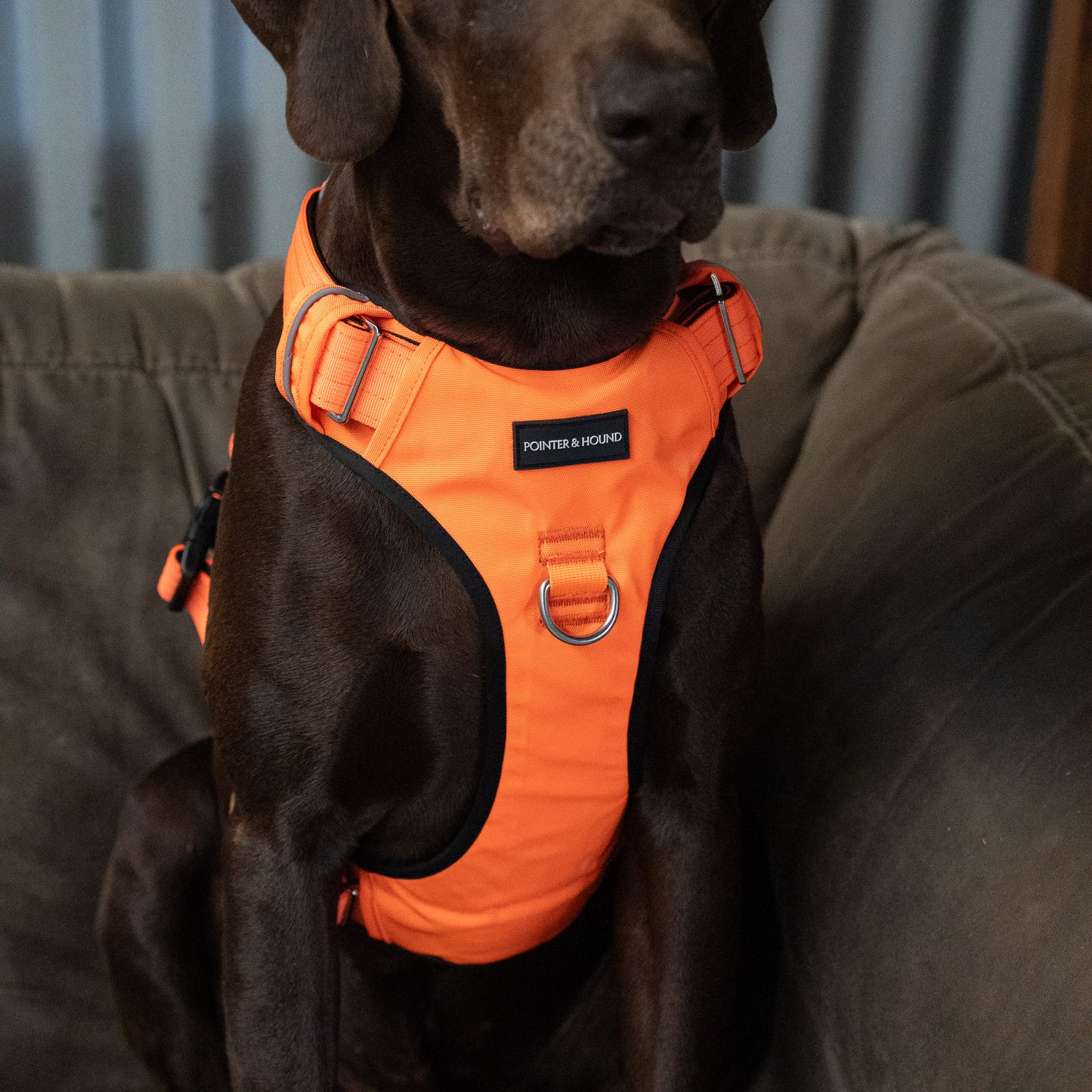 Tactical Harness - Blaze Orange