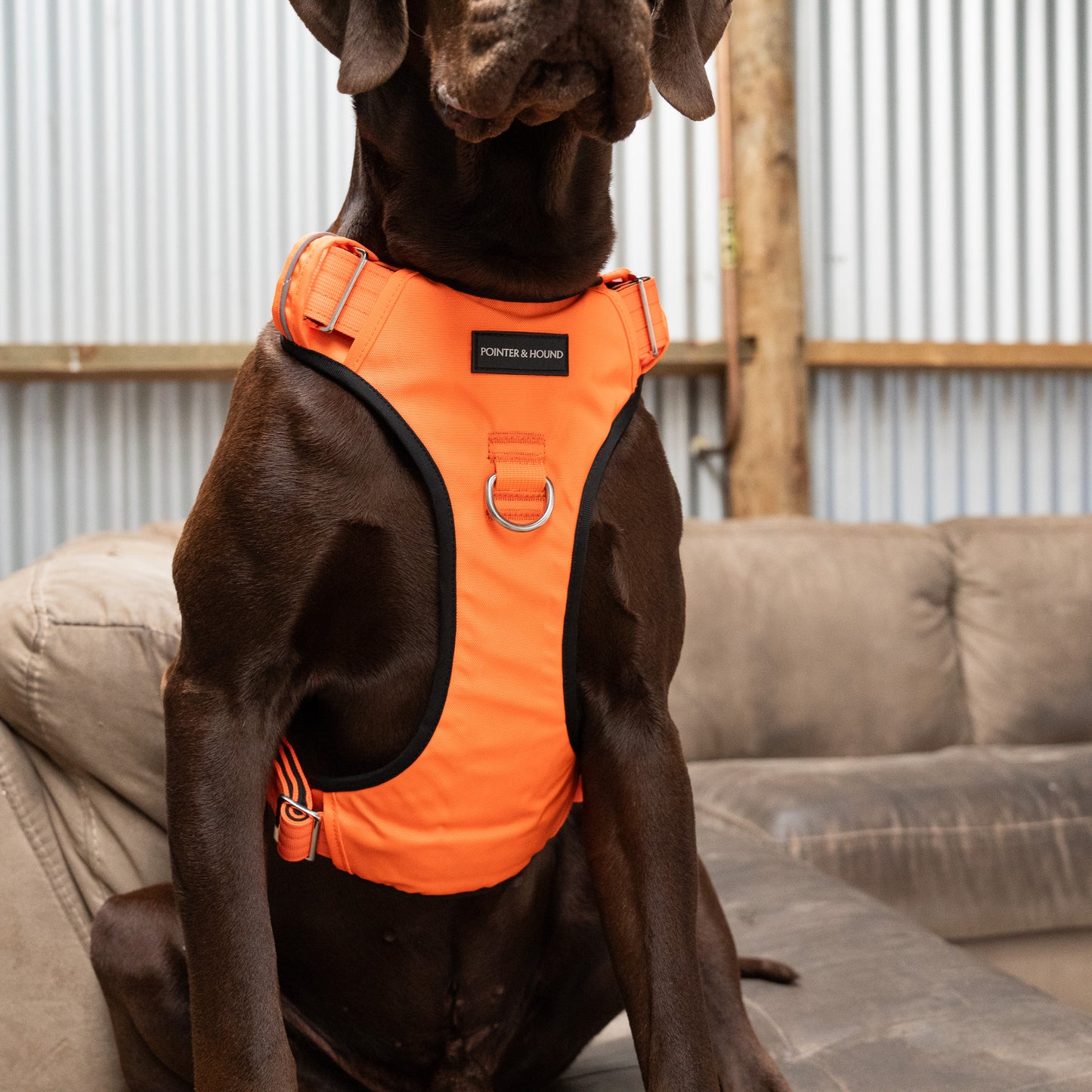 Tactical Harness - Blaze Orange