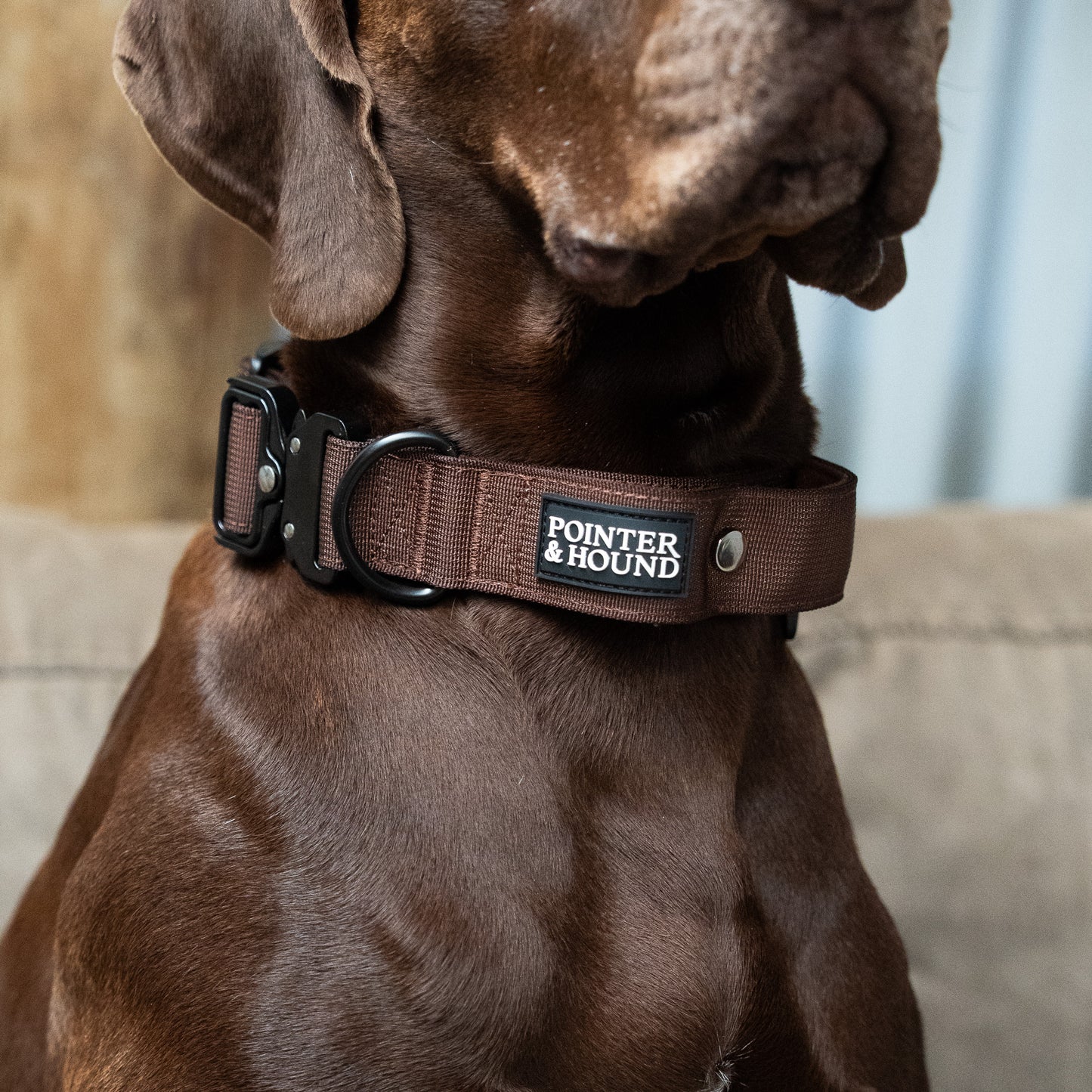 Tactical Collar - Maroon Brown